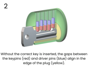 lock Diagram - Without the correct key is inserted, the gaps between the keypins (red) and driver pins (blue) align in the edge of the plug (yellow).